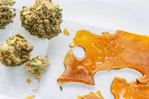 Best 2026 Cannabis Concentrates from TLV Finest Budz